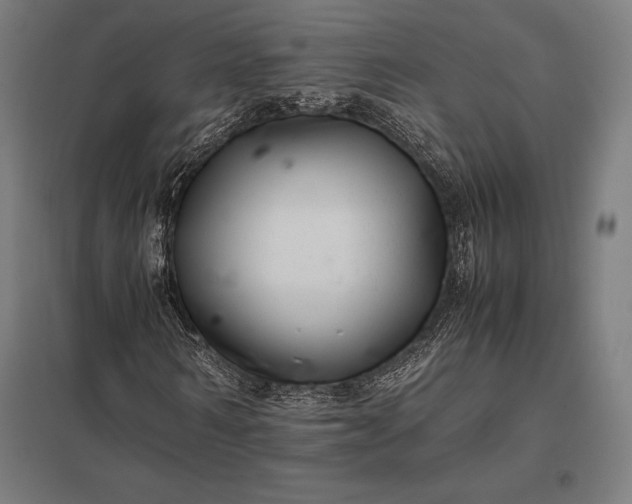 X0000097860962200803281308