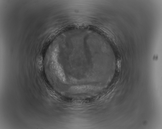 X0000097860963200803281308