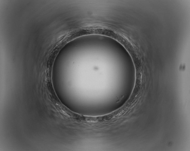 X0000097860965200803281308