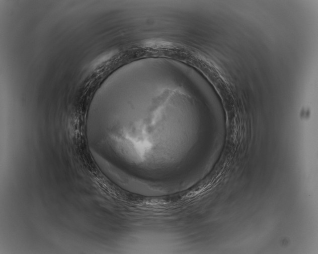 X0000097860966200803281308