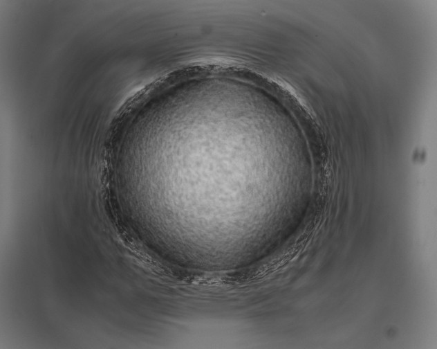 X0000097860967200803281308