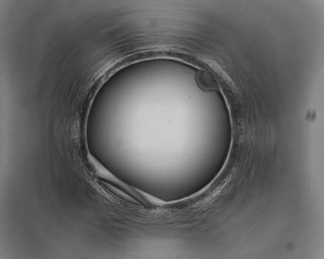 X0000097860969200803281308