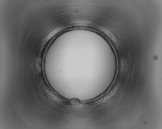 X0000097860970200803281308