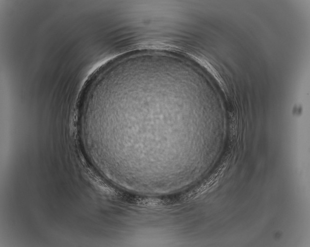 X0000097860971200803281308