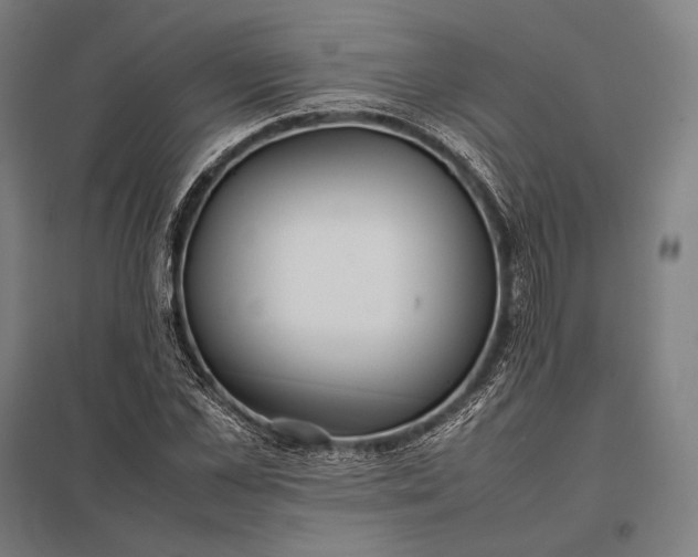 X0000097860973200803281308