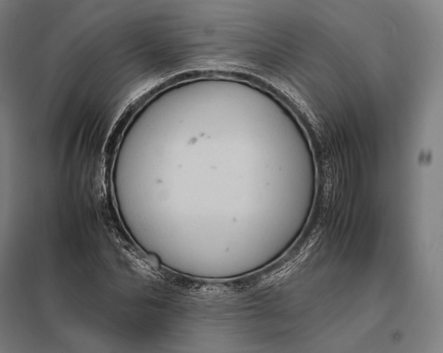 X0000097860974200803281308