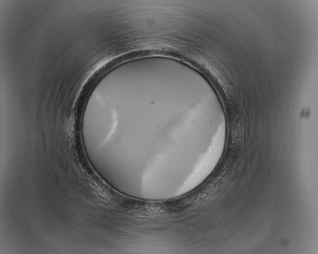 X0000097860975200803281308