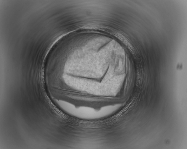 X0000097860976200803281308