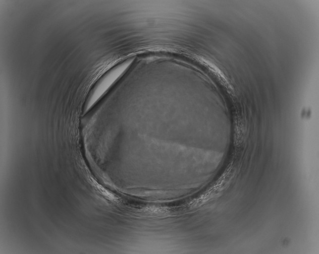 X0000097860977200803281308