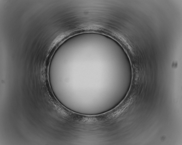 X0000097860978200803281308