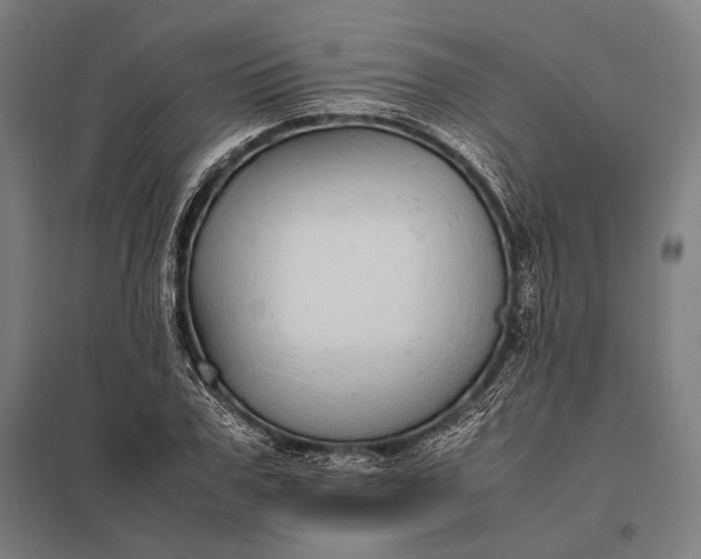 X0000097860979200803281308