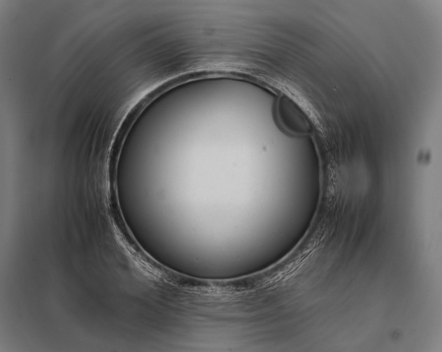 X0000097860980200803281308