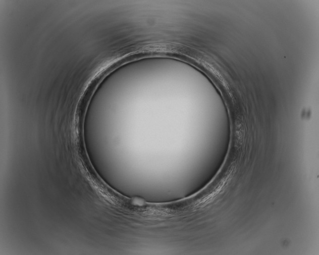 X0000097860981200803281308