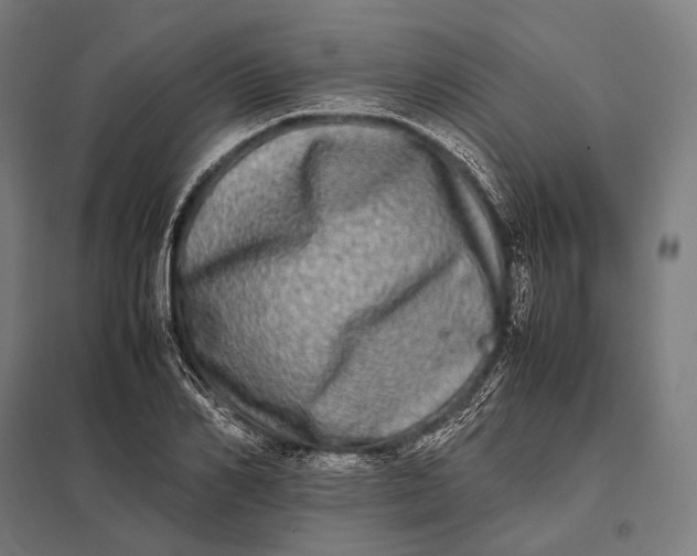 X0000097860982200803281308