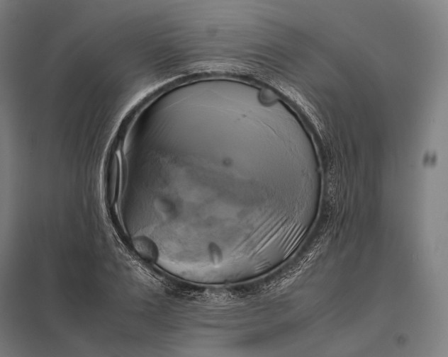 X0000097860983200803281308