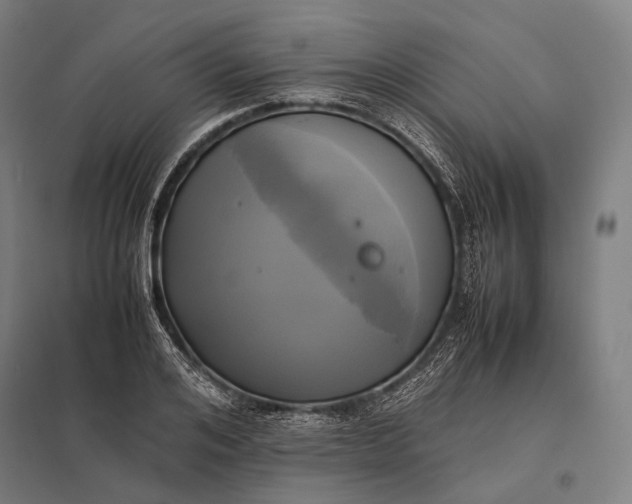 X0000097860984200803281308