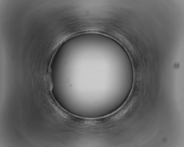 X0000097860985200803281308