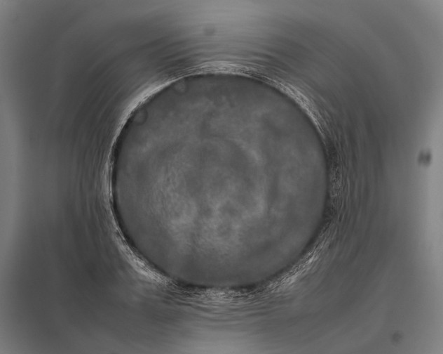 X0000097860987200803281308