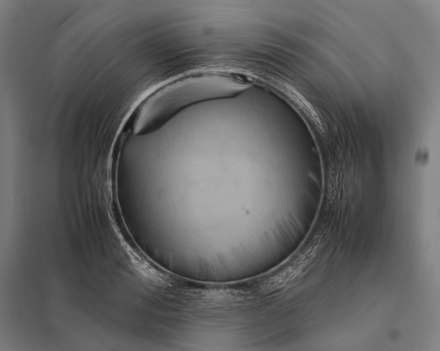 X0000097860988200803281308