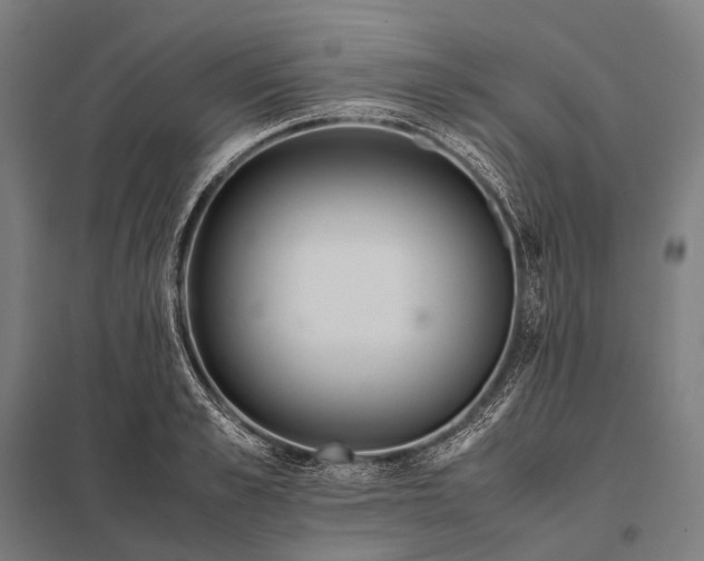 X0000097860989200803281308