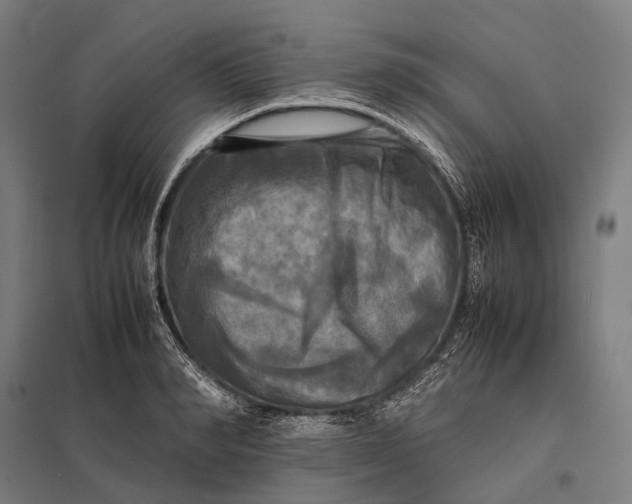 X0000097860990200803281308