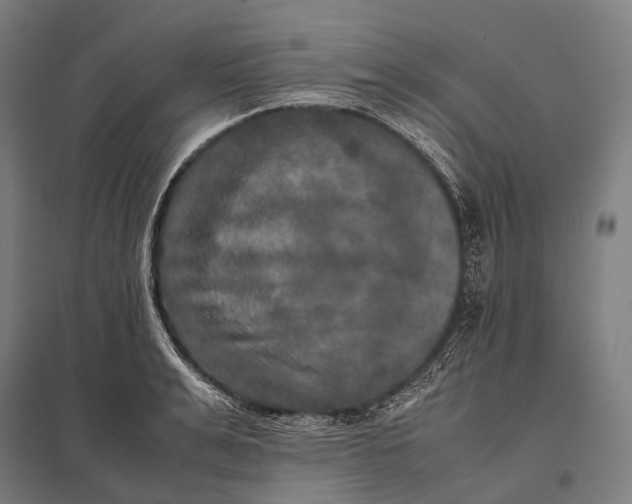 X0000097860991200803281308