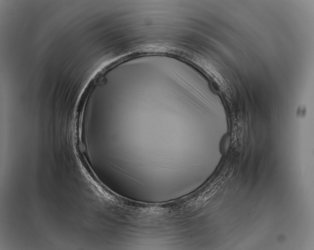 X0000097860992200803281308