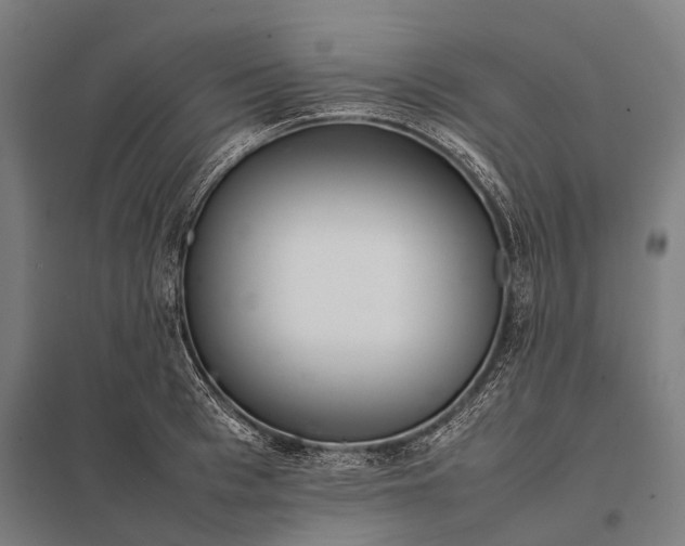 X0000097860993200803281308