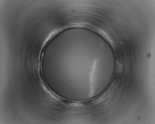 X0000097860994200803281308