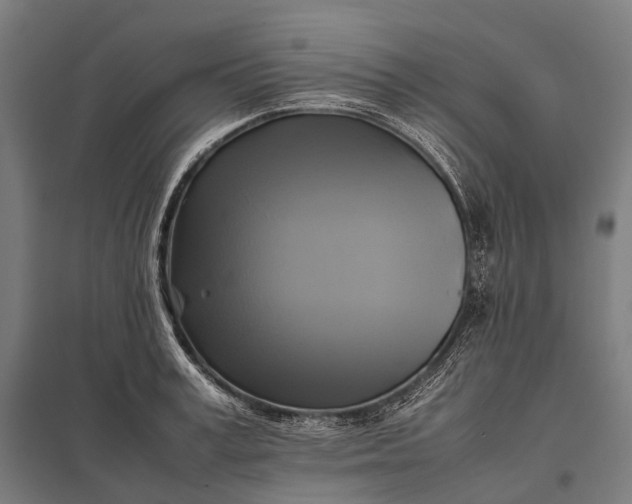 X0000097860995200803281308