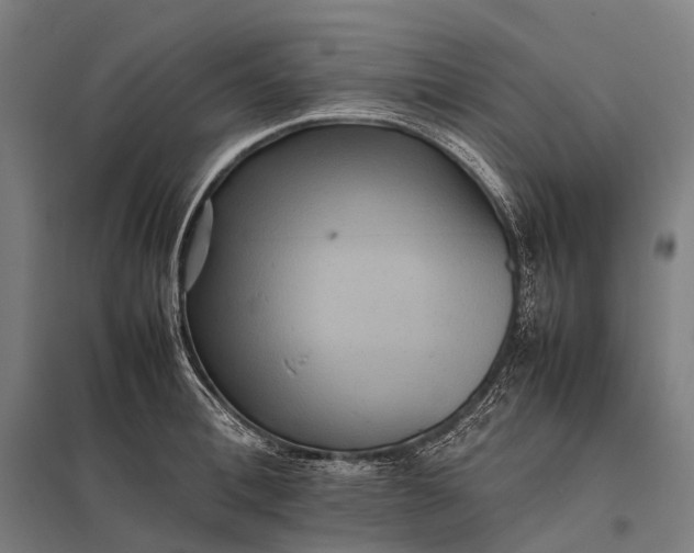 X0000097860996200803281308