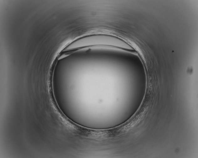 X0000097860997200803281308