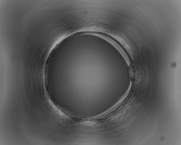 X0000097860998200803281308