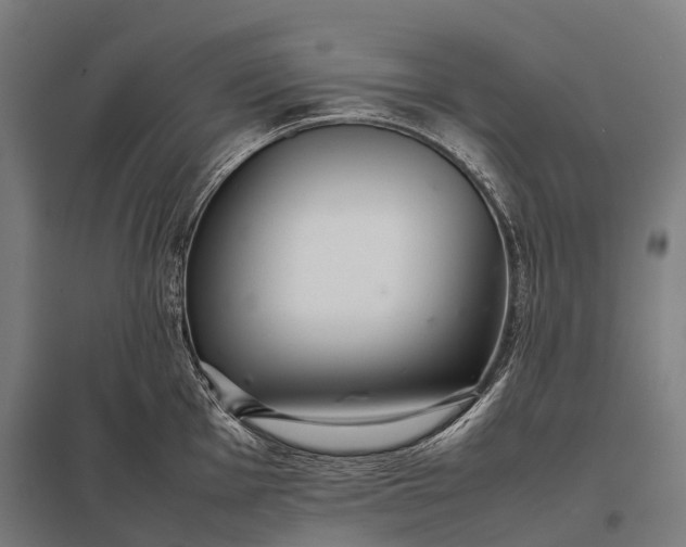 X0000097861001200803281308