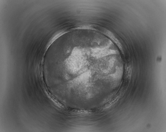 X0000097861002200803281308