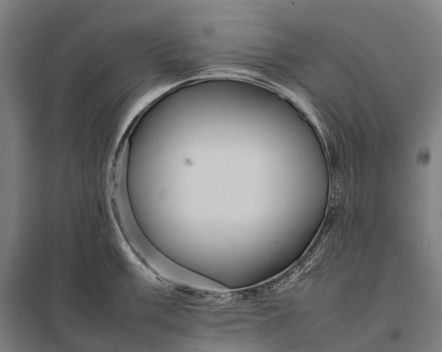 X0000097861003200803281308