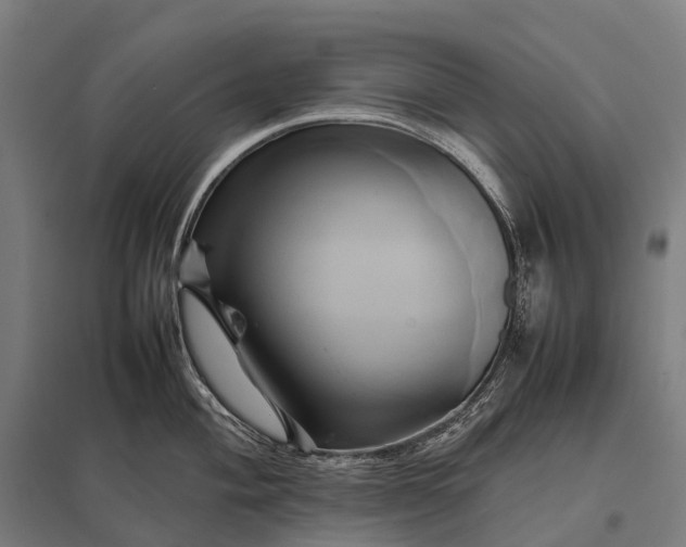 X0000097861004200803281308