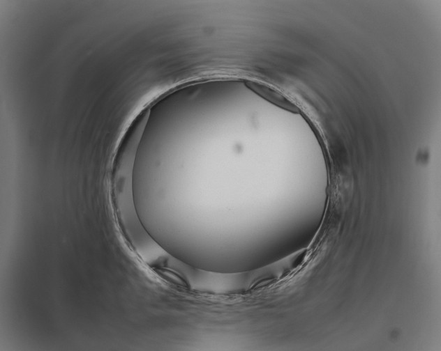 X0000097861005200803281308