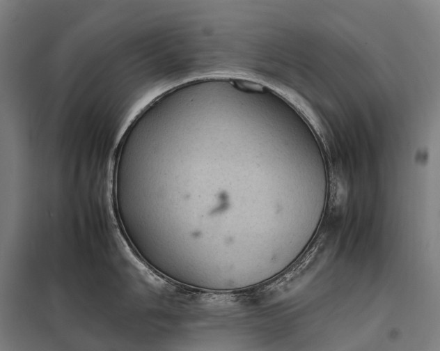 X0000097861006200803281308