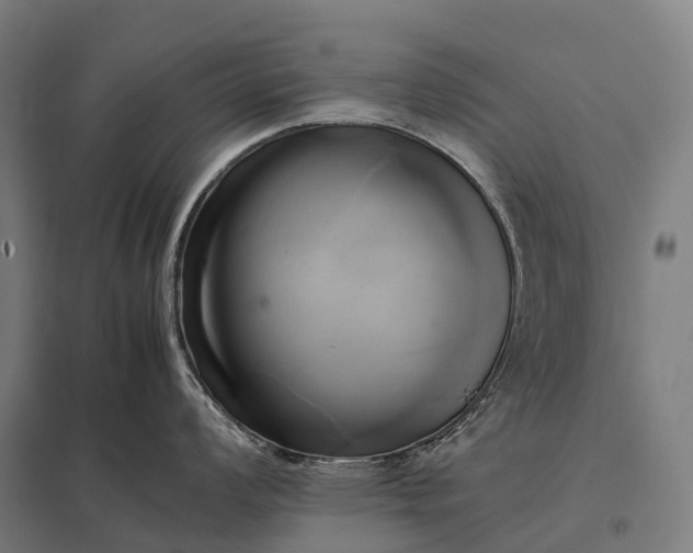 X0000097861008200803281308