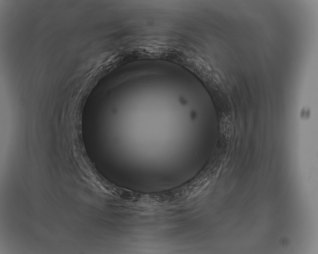 X0000097861009200803281307