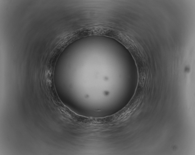 X0000097861010200803281307