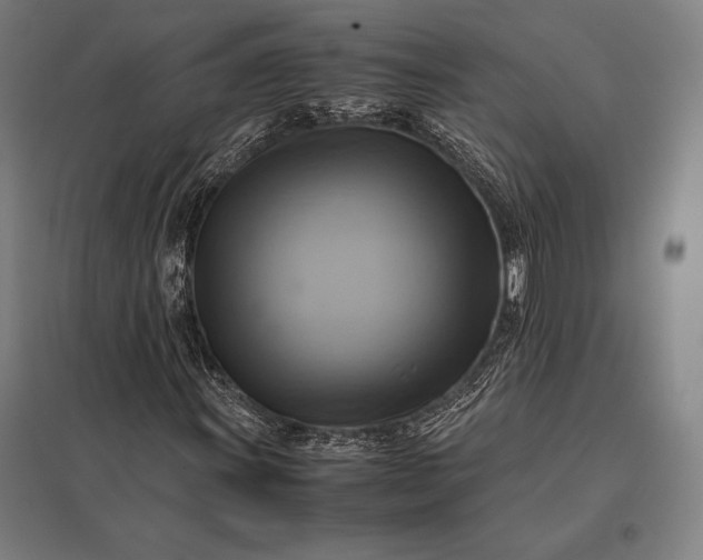 X0000097861011200803281307