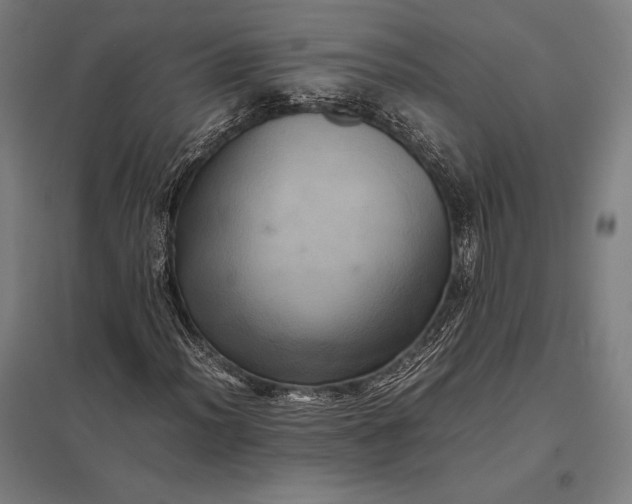 X0000097861012200803281307