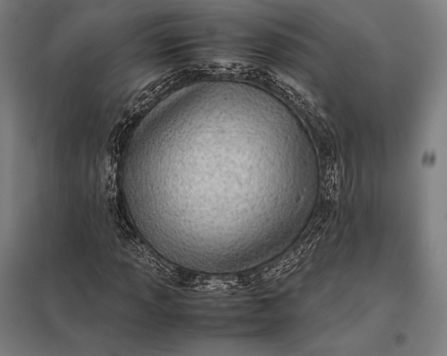 X0000097861013200803281307