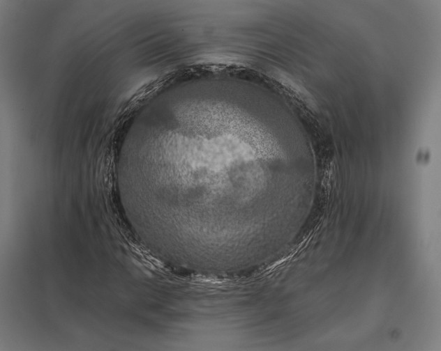 X0000097861014200803281307