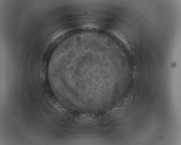 X0000097861015200803281307