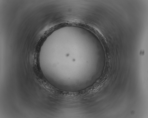 X0000097861016200803281307