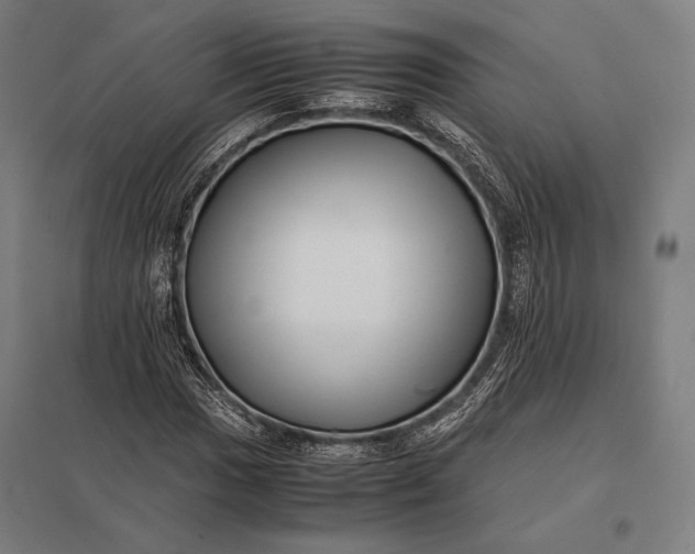 X0000097861017200803281307