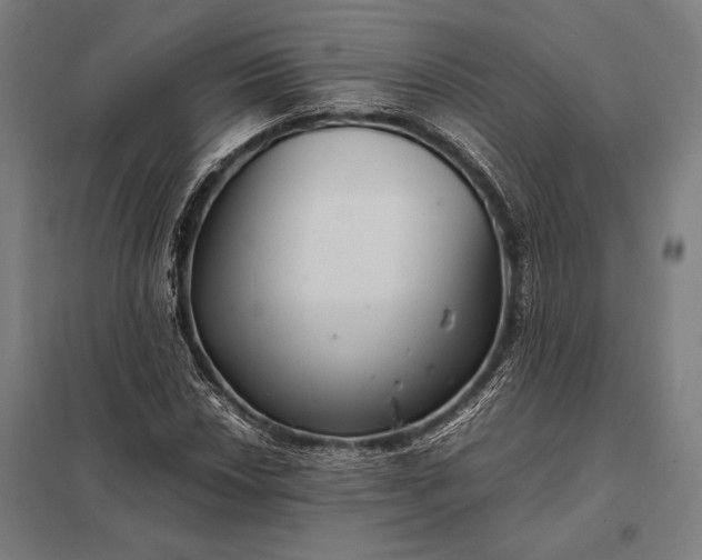 X0000097861018200803281307